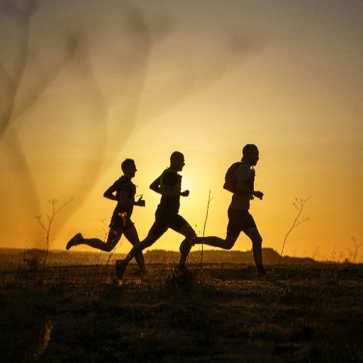 Running crew moving together during golden hour